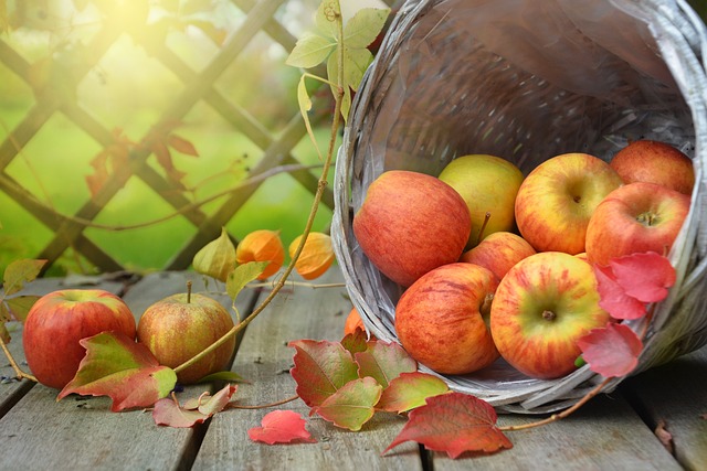 Combien de pommes par jour pour perdre du poids ?